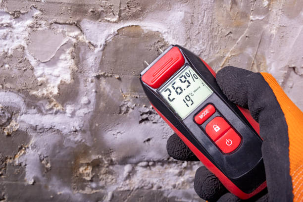 Trusted Pacific, WA Mold Removal Experts