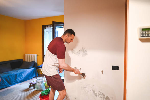 Best Residential Mold Removal  in Pacific, WA